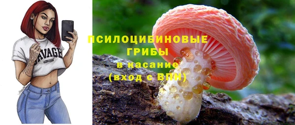 ГАЛЛЮЦИНОГЕННЫЕ ГРИБЫ Дмитровск