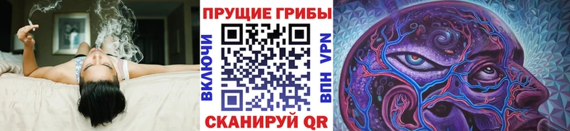 Галлюциногенные грибы Psilocybine cubensis  блэк спрут маркетплейс  Махачкала 
